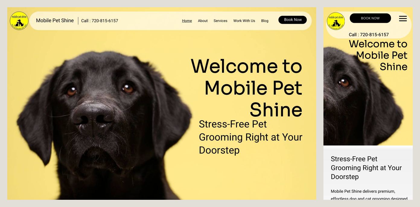 Mobile Pet Shine homepage on desktop and phone